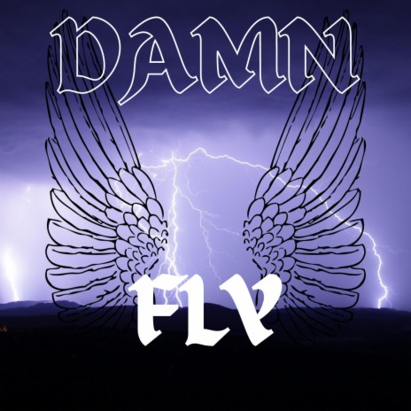Damn FLY | Boomplay Music
