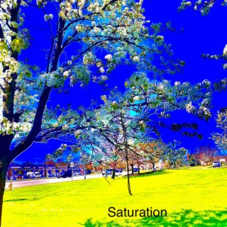 Saturation