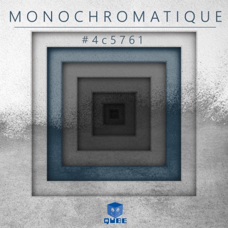 Monochromatique (#4c5761)