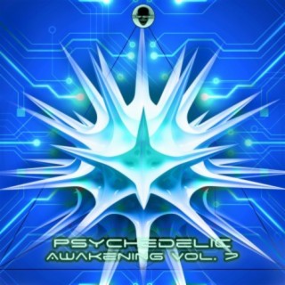 Psychedelic Awakening, Vol. 7 (Dj Mixed)