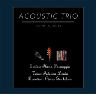 Acoustic trio (acoustic version)