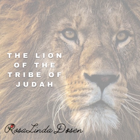 The Lion Of The Tribe Of Judah