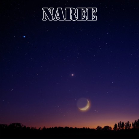 Naree | Boomplay Music