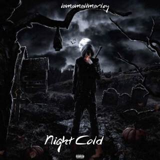 Night Cold lyrics | Boomplay Music