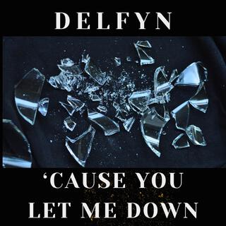 'Cause You Let Me Down lyrics | Boomplay Music