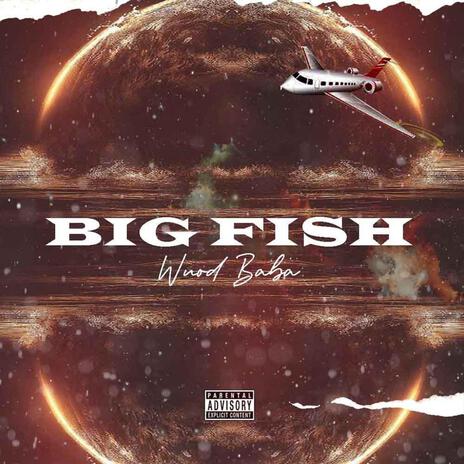 BIG Fish | Boomplay Music