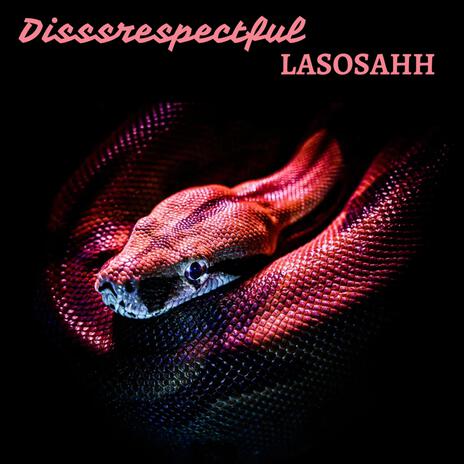 Disssrespectful | Boomplay Music