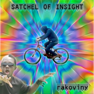 Stachel of Insight