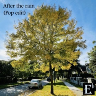 After the rain (Pop edit)