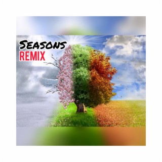 Seasons (Remix)