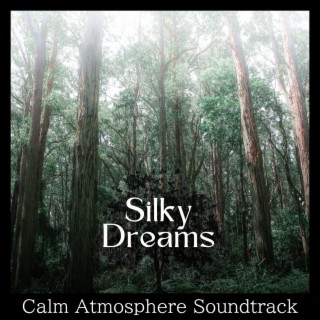 Calm Atmosphere Soundtrack