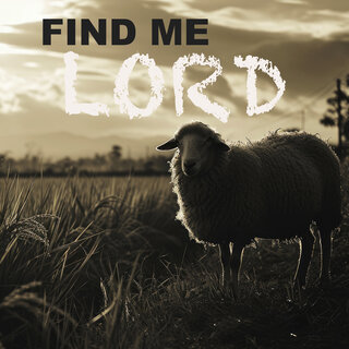 Find Me Lord