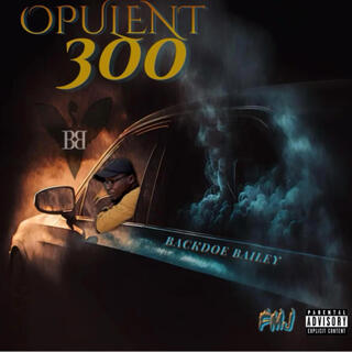 Opulent 300