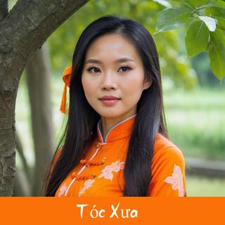 Tóc Xưa Ngô Thụy Miên