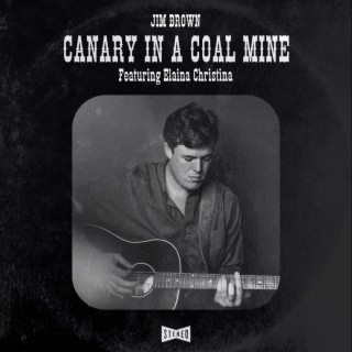 Canary In A Coal Mine ft. Elaina Christina lyrics | Boomplay Music