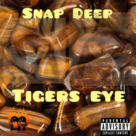 Tiger Eye | Boomplay Music