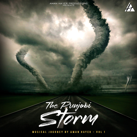 The Punjabi Storm | Boomplay Music