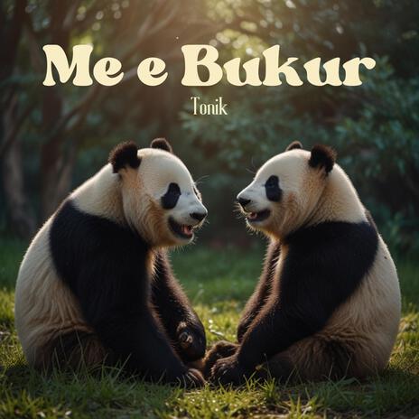 Me e Bukur | Boomplay Music