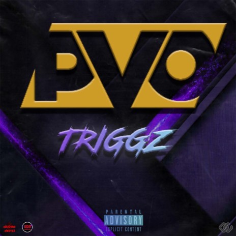 PVO Vision | Boomplay Music