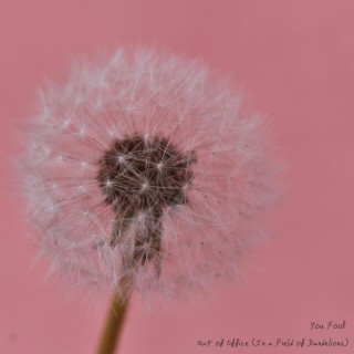 Out of Office (In a Field of Dandelions)