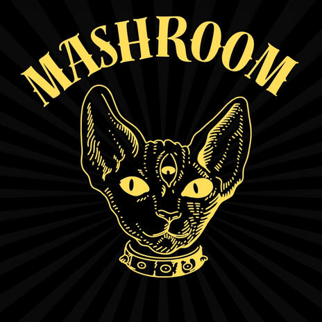 Mashroom 2024 | Boomplay Music