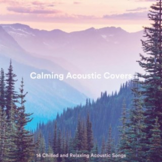 Calming Acoustic Covers: 14 Chilled and Relaxing Acoustic Songs