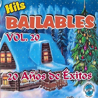 Hits Bailables 20 años de Éxitos, Vol. 20