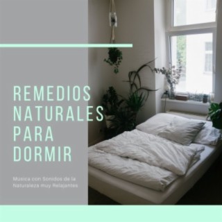 Remedios Naturales para Dormir: Música con Sonidos de la Naturaleza muy Relajantes