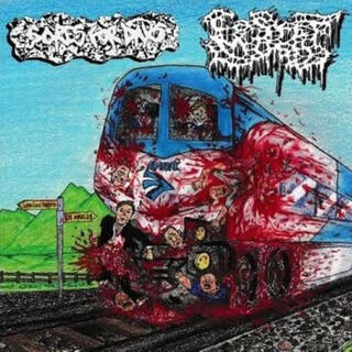 CASKET MUSH/SORES FOR DAYS SPLIT