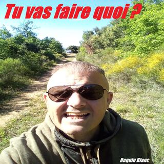 Tu vas faire quoi?