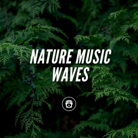 Nature Talks In Rain | Boomplay Music