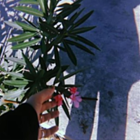Nerium Oleander | Boomplay Music