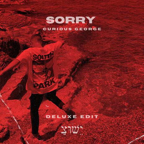 Sorry - Deluxe Edit | Boomplay Music