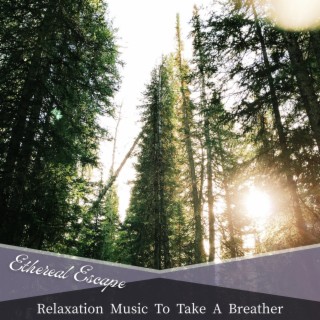 Relaxation Music to Take a Breather