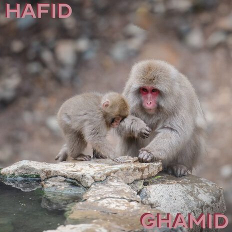 Ghamid