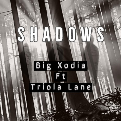 Shadows ft. Triola Lane | Boomplay Music