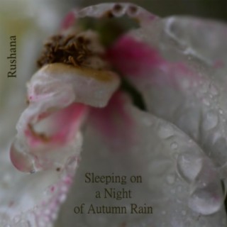 Sleeping on a Night of Autumn Rain