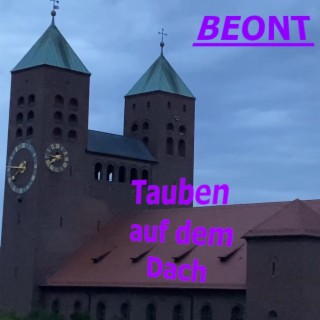 Tauben Auf Dem Dach