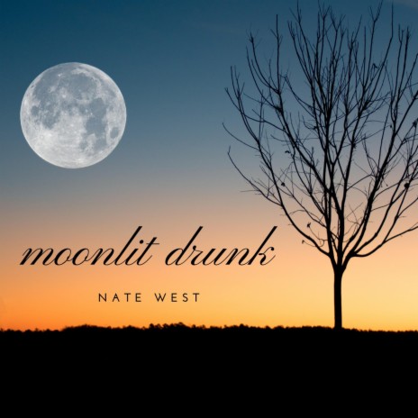 Moonlit Drunk | Boomplay Music