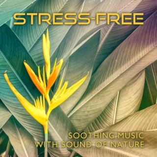 Stress-Free: Relax and Mindfulness Music for Daily Tranquility, Soothing Music with Sound of Nature