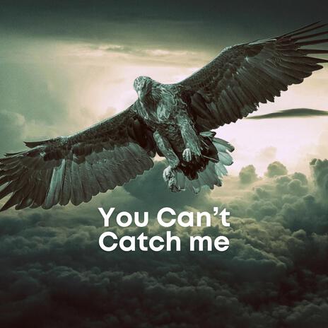 You Can't Catch Me | Boomplay Music