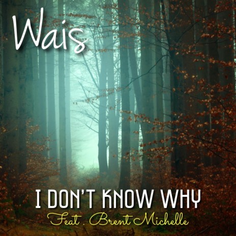 I Don't Know Why ft. Brent Michelle | Boomplay Music