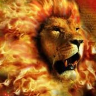 We Are the Tribe Of Judah