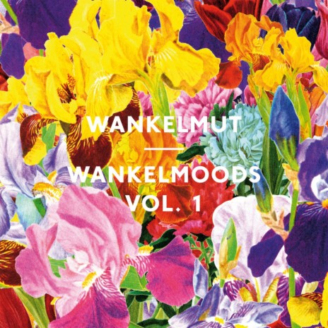 One Day / Reckoning Song (Wankelmut Remix (Radio Edit)) ft. The Mojos | Boomplay Music