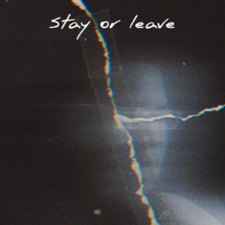 Stay or Leave