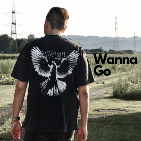 Wanna Go | Boomplay Music