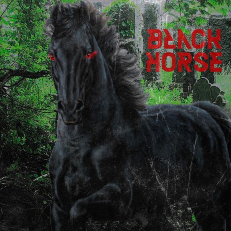 BLACK HORSE | Boomplay Music