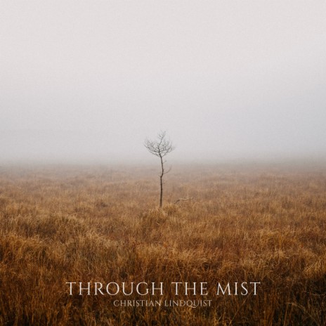 Through The Mist | Boomplay Music