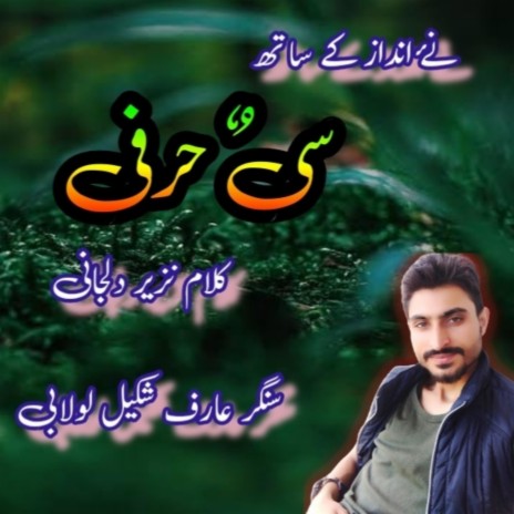 Seharfi Nazir Diljani | Boomplay Music