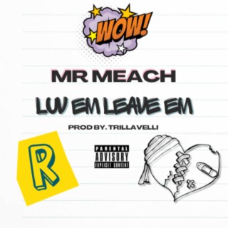 LUV EM LEAVE EM lyrics | Boomplay Music